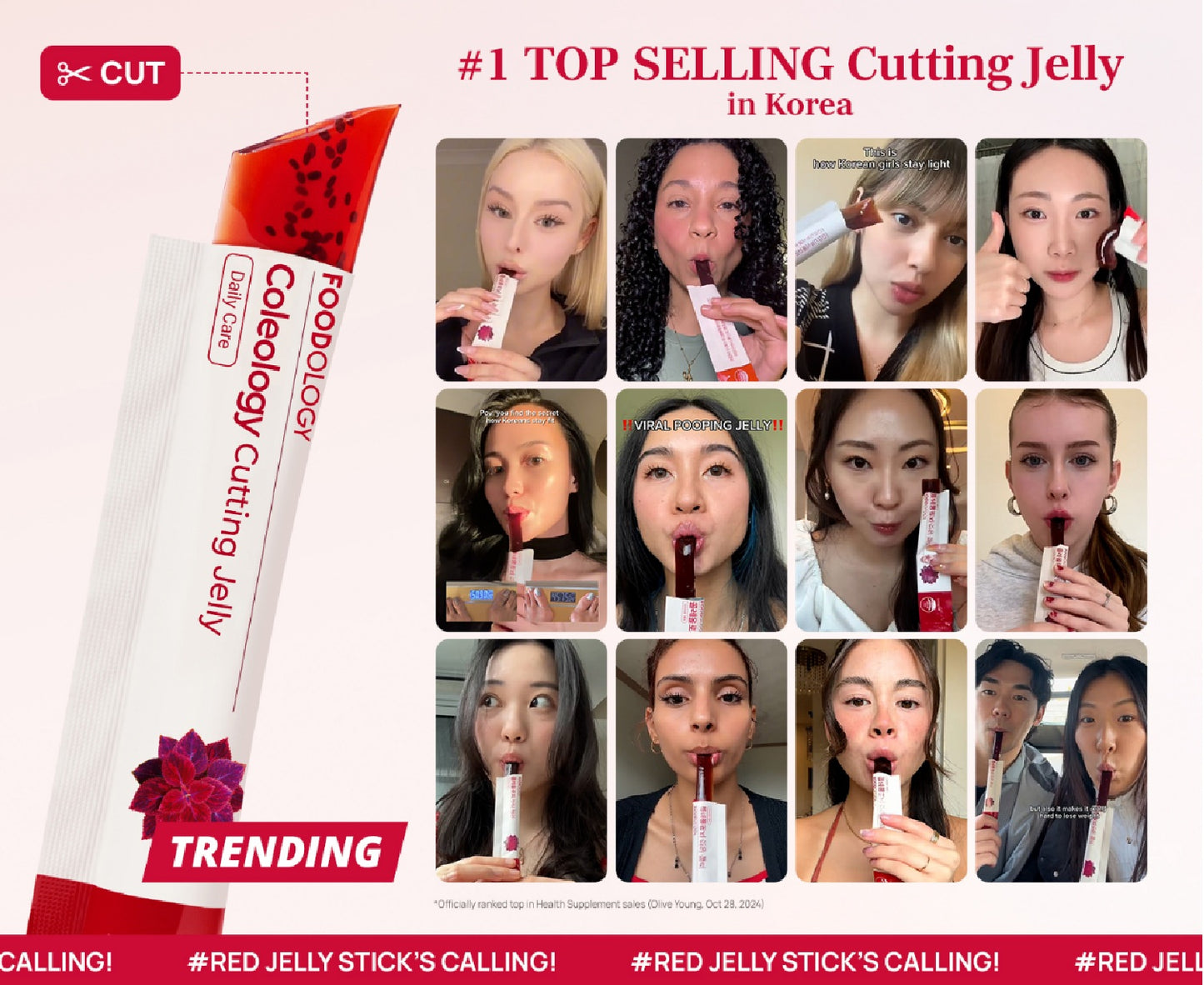 FOODOLOGY COLEOLOGY CUTTING JELLY