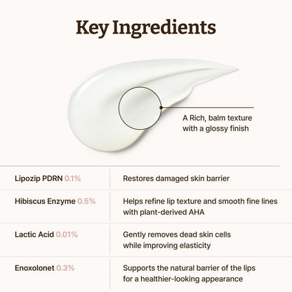 DR. REJU-ALL ADVANCED PDRN REJUVENATING LIP SERUM