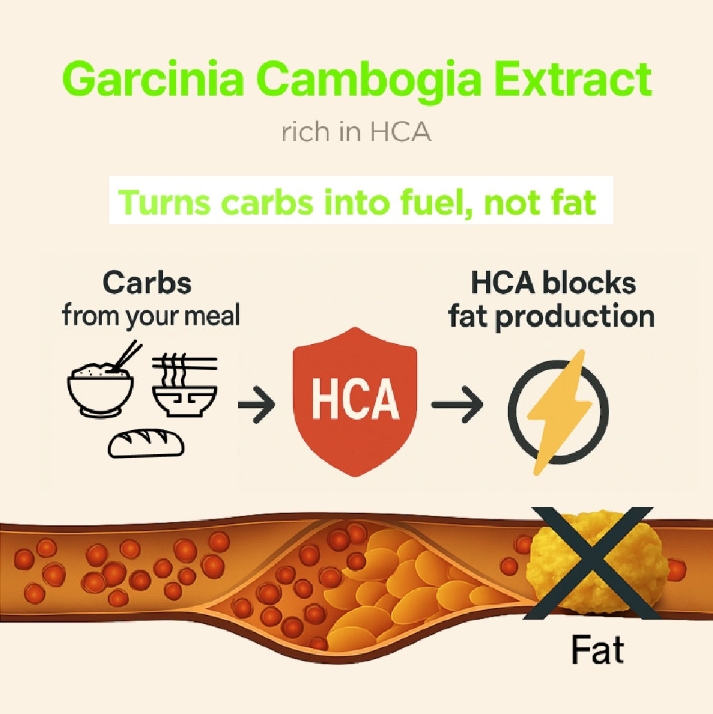 NEAR GARCINIA CAMBOGIA CHEWS SHINE MUSCKET FLAVOR