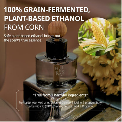 HETRAS PREMIUM CAR DIFFUSER SET