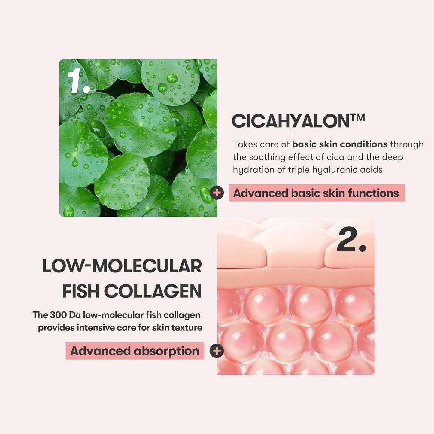 VT COSMETICS CICA COLLAGEN CREAM