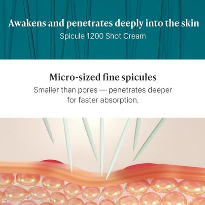 VELY VELY NANO SPICULE 1200 LIFTING CREAM
